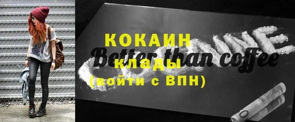 стаф Бородино