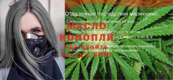 стаф Бородино