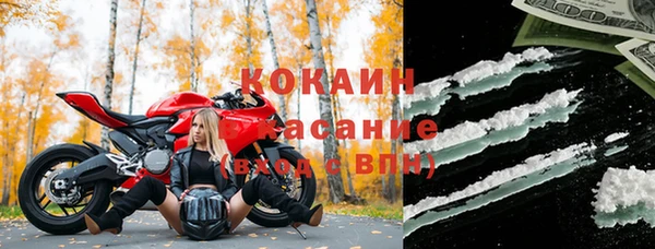 стаф Бородино