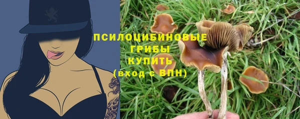 гидропоника Бронницы
