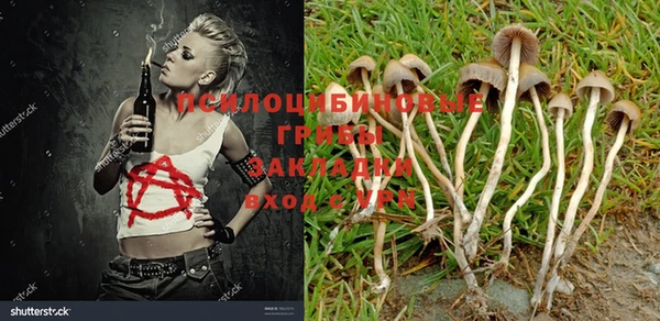 гидропоника Бронницы