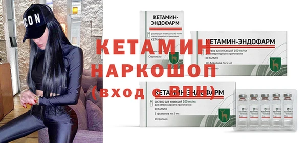 стаф Бородино