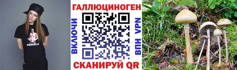 Псилоцибиновые грибы Magic Shrooms  Купить закладки  Бакал 